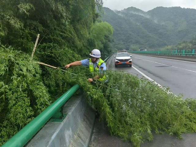 05 臺風(fēng)格美登陸在即，7月26日 六安西中心管控部巡路員柴夢麒清理侵占路面的毛竹(1).png